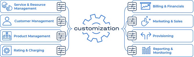 What is customization and why do digital businesses need it?