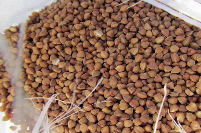 Huawei считает, что давление США не скажется на прибыли компании 2019 года