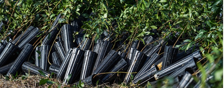 Сотрудники Ucom приняли участие в работе по восстановлению леса в Вайоцдзоре