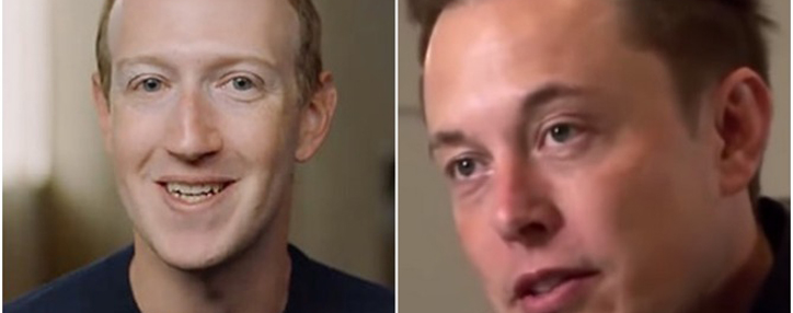 Маск и Цукерберг хотят подраться в клетке