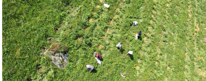 При содействии Viva-MTS в селе Лорийской области мульчированы 20 тыс. деревьев 