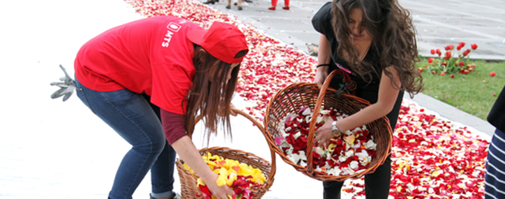 Ծիծեռնակաբերդում խոնարհված ծաղիկները երկրորդ կյանք են ստացել