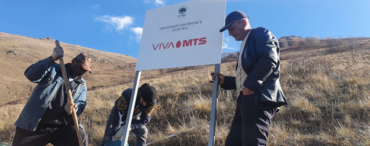 Վիվա-ՄՏՍ. լերկ սարն անտառ դարձնելու մեկնարկը տրվել է