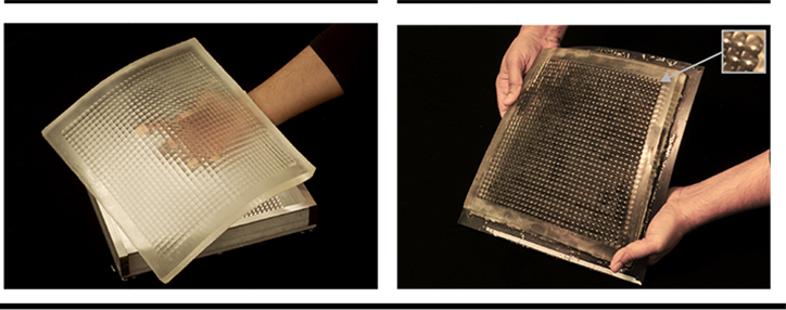 В США создан прототип гибкой матрицы для фотокамер (ВИДЕО) 