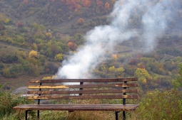 В Минздраве Армении назвали опасные для здоровья последствия сжигания сухих листьев