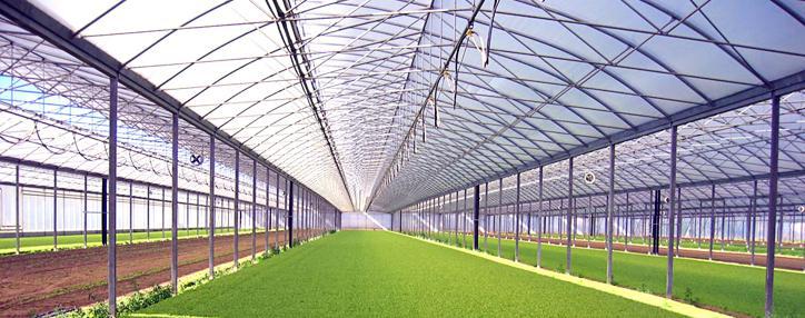 Тайбейские ученые помогут Армении в разработке "умных" агротехнологий 