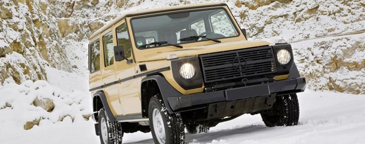 Фестиваль Beeline Extreme 2012 пройдет в армянском Иджеване 25 марта