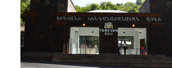 Հունիսի 1-ին երեխաների մուտքի տոմսը Կենդանաբանական այգի կլինի անվճար՝ ՎիվաՍել-ՄՏՍ-ի աջակցությամբ