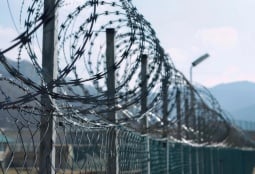 Пашинян объяснил, почему жителей Шаки заранее не предупредили об азербайджанском солдате