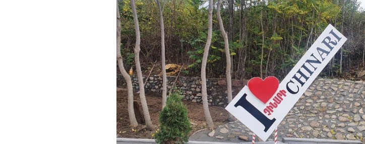 Սահմանապահ Չինարիում առողջապահական կարևոր հարցեր են լուծվել. Վիվա-ՄՏՍ-ն ու «Աթենաս» բարեգործական հիմնադրամն ամփոփել են պիլոտային ծրագրի արդյունքը