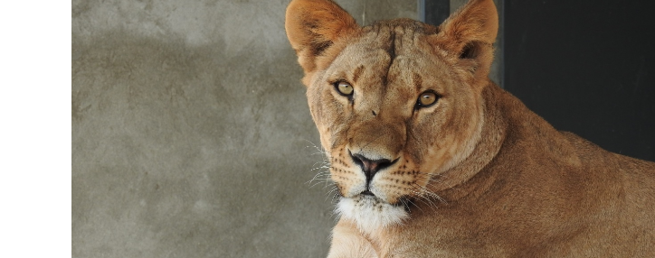 Պահպանվող բնություն և զարգացող համայնքներ՝ տարիների գործակցության և ներդրման շնորհիվ