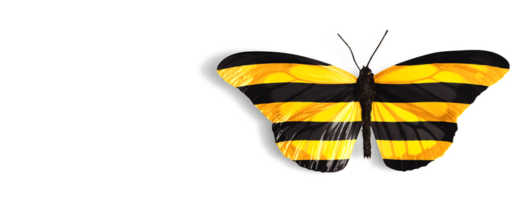 Beeline совместно с радио «Аврора» проводит конкурс «Истории наших побед»