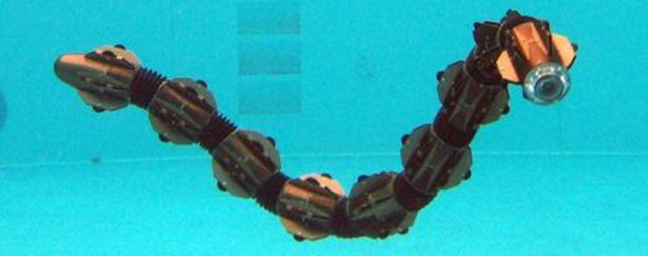 В Норвегии создали подводного робота-змею (ВИДЕО)