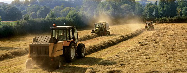 Հայաստանի գյուղնախարարությունը «Ոսկե բանալի» մրցանակի է արժանացել որպես լավագույն կայք