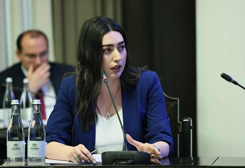 Digital driver's license generation for all drivers completed in Armenia — minister