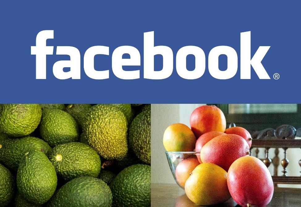 Meta раскрыла имена грядущих ИИ-моделей