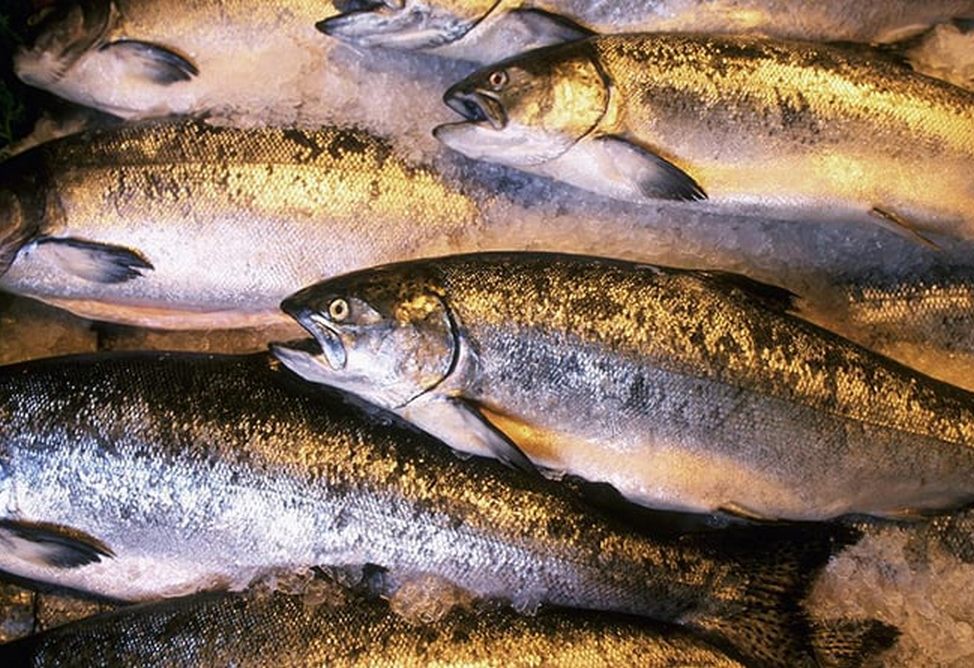 Armenia Increases Quota for Commercial Whitefish Catch in Lake Sevan by 720 Tons