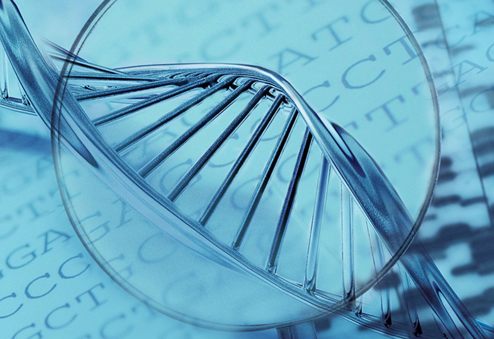 ИИ обогнал эволюцию в синтезе элементов ДНК — генная терапия на пороге прорыва