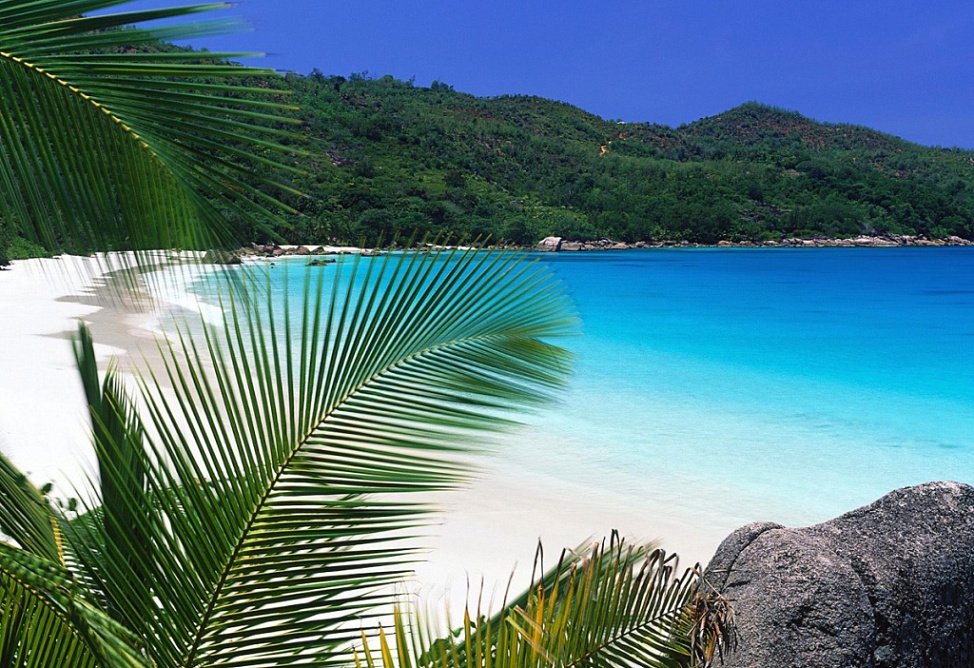 Yandex-ը ճամփորդությունների ծառայություն է գործարկել